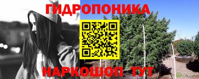 mdpv Татарск