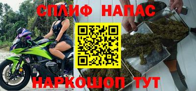 индика Тара