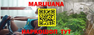 индика Тара