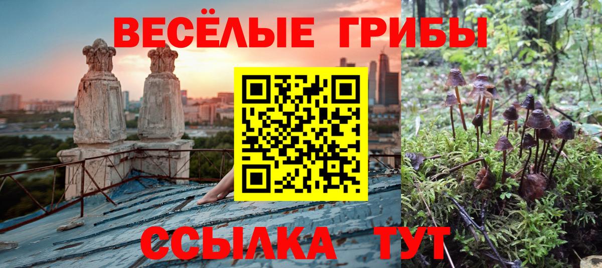 Галлюциногенные грибы GOLDEN TEACHER Новокубанск